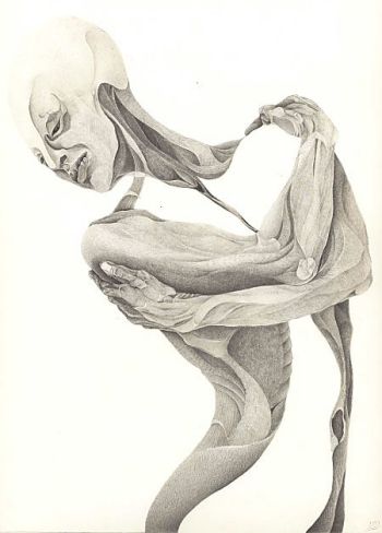 Drawing by Marian Damerell: Anguish